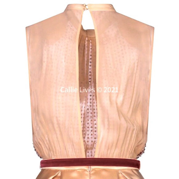 Callie Sequin & Satin: Elisabetta Franchi Dress - Picture 4 of 6